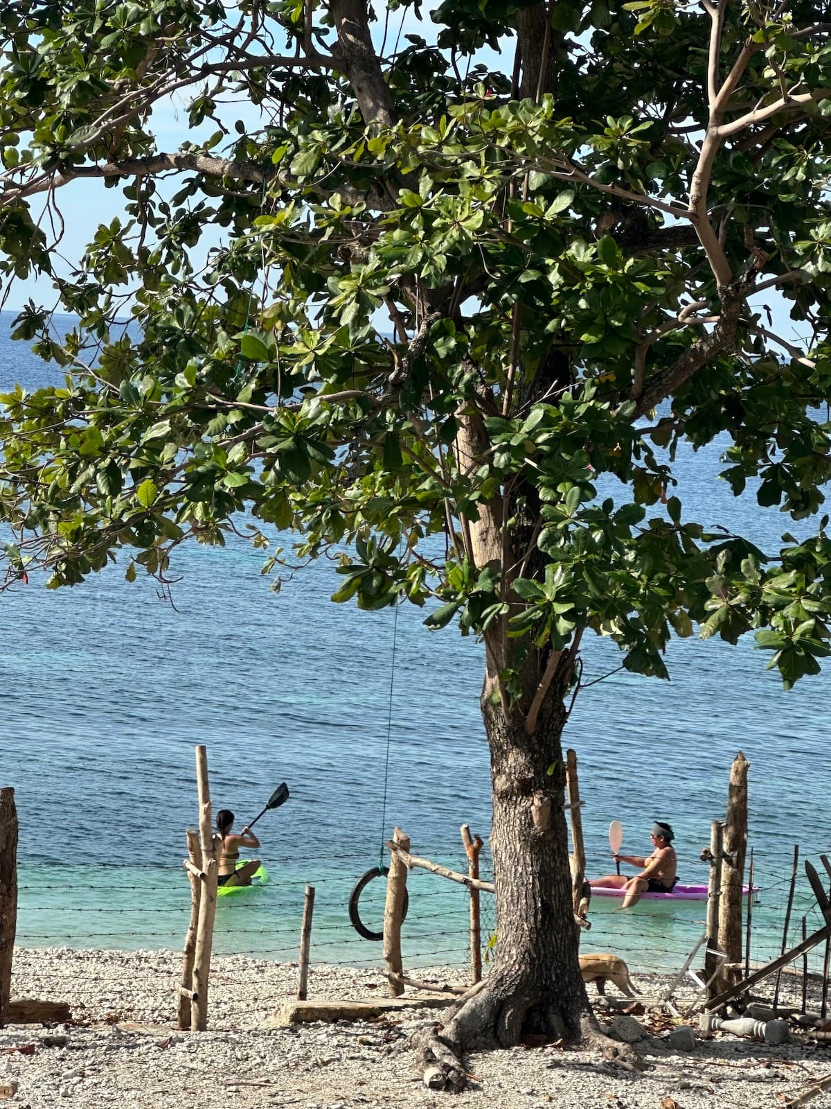Liloan ↔ Sibulan Ferry Crossing