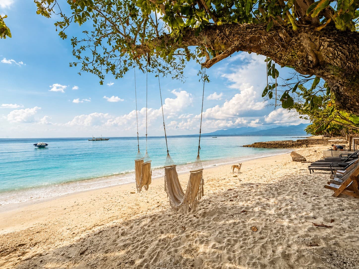 Barefoot white-sand shoreline with woven swings under a tropical tree, the clear living sea beyond