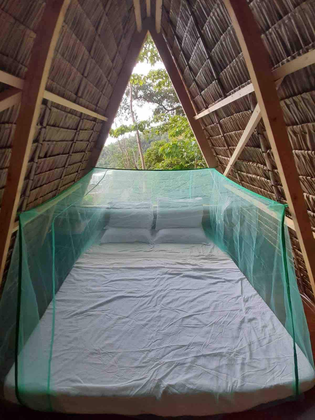 TreeHut 3